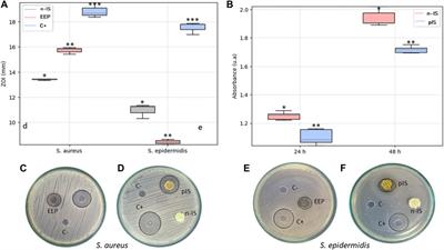 In vitro evaluation of the osteogenic and antimicrobial potential of porous wollastonite scaffolds impregnated with ethanolic extracts of propolis